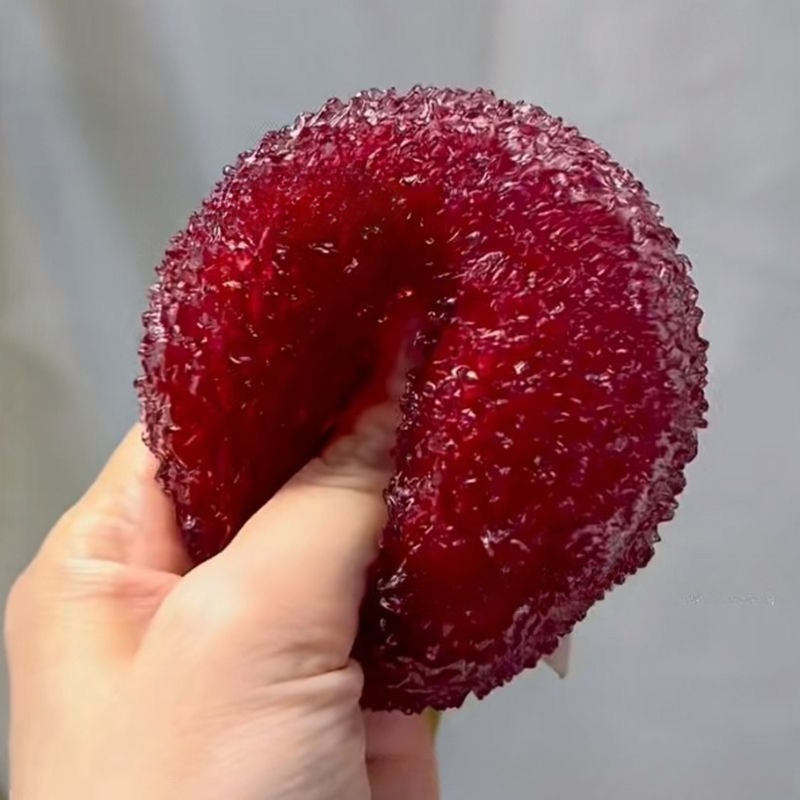 Photography Food - Realistic Artificial Bayberry Fruit Model, TPR