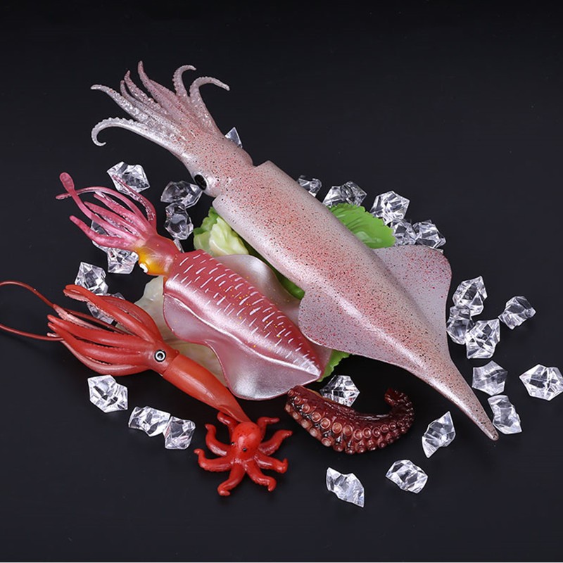 Simulation Squid Model Kitchen - Photography Food review and price